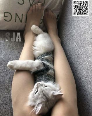 天堂在 /线中文官网_电影无删减版