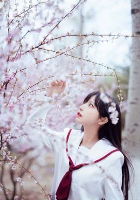 欧美精品观看_BD日韩免费观看